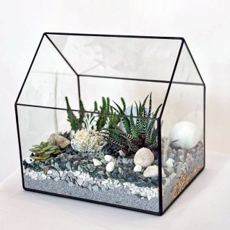 Флорариум с сухоцветами хавортией и кактусами